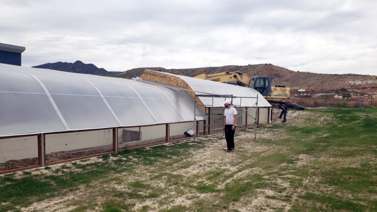 Growing Food in a Greenhouse&nbsp;&nbsp;by Michelle Roberts