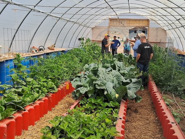 High Tunnel Greenhouse – By Philip Gleason