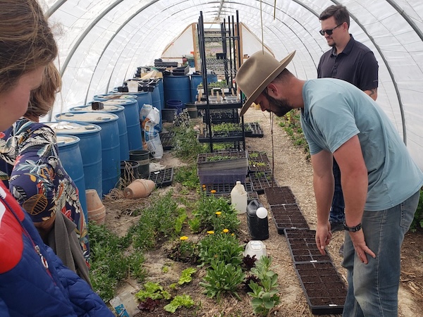 Growing Your Own Medicine (and What to Do With It) – By Sarah Vezzani