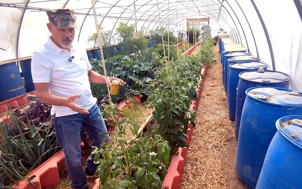 Growing Food in a Hoophouse&nbsp;&nbsp;by Philip Gleason